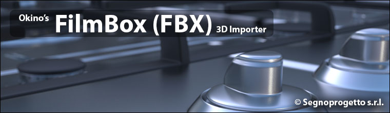 FBX Importer Header
