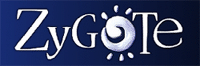 Zygote
