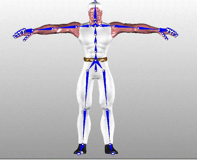 arms stretched outwards in t pose - Playground